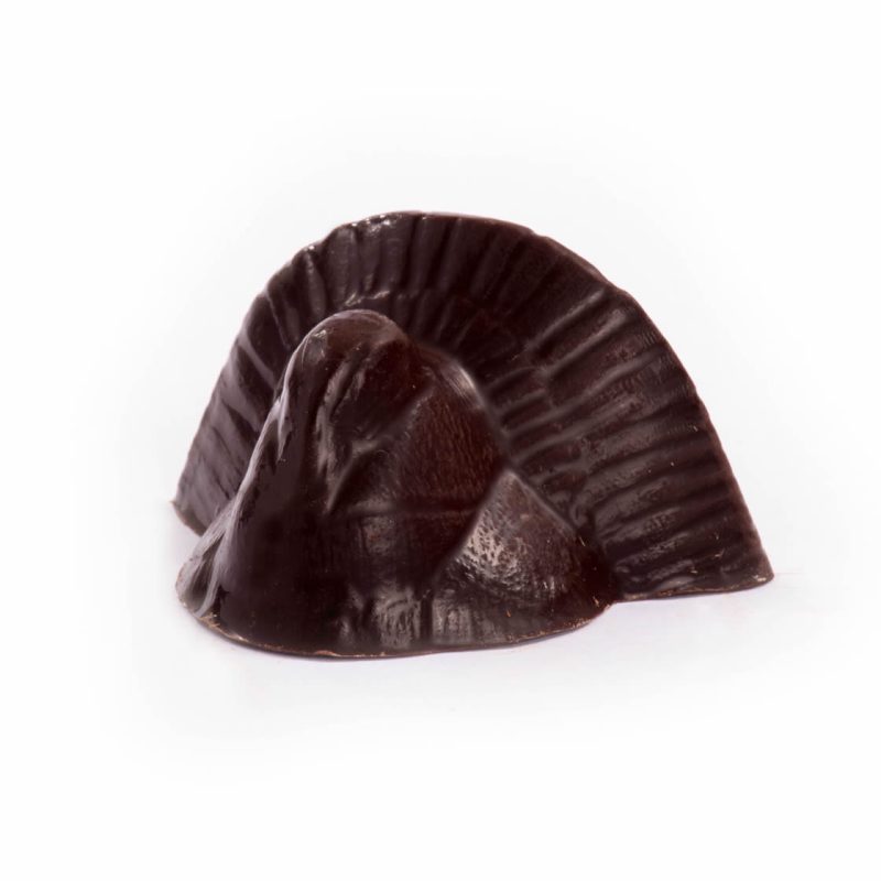 Solid Dark Chocolate Turkey