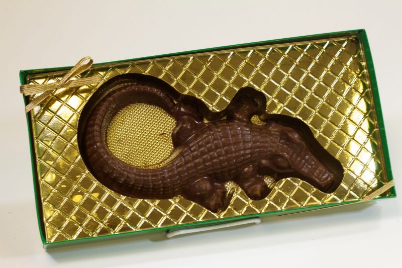 Chocolate Alligator