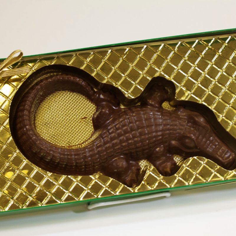 Chocolate Alligator
